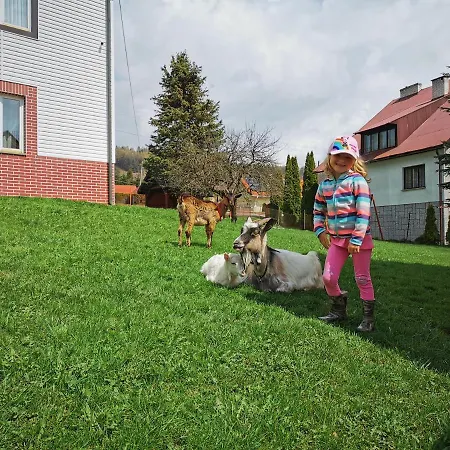 Guest house Hamernik *