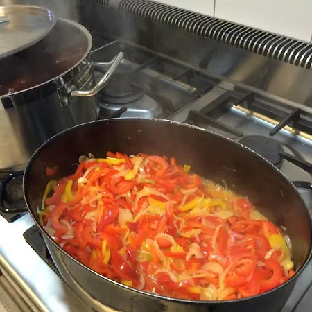 Guest house Hamernik