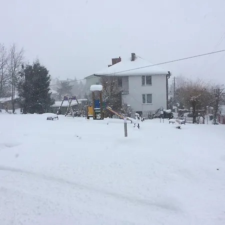 Guest house Hamernik 3*