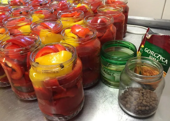 Gasthuis Hamernik 3*